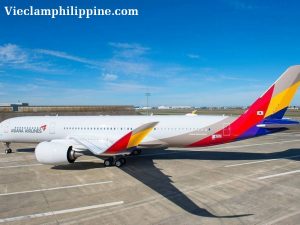 Hãng hàng không Asiana Airlines nối lại đường bay quốc tế