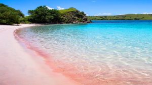 4 bãi biển màu hồng ở Philippines bạn nên ghé thăm