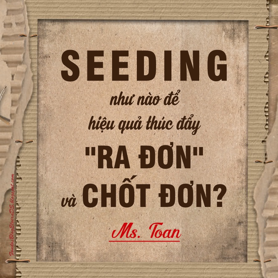 Nghệ thuật Seeding marketing hiệu quả