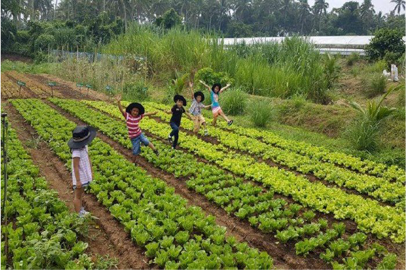 Trang trại thiên nhiên Costales