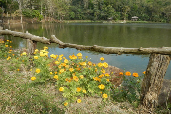  Công viên du lịch sinh thái Lower Magat