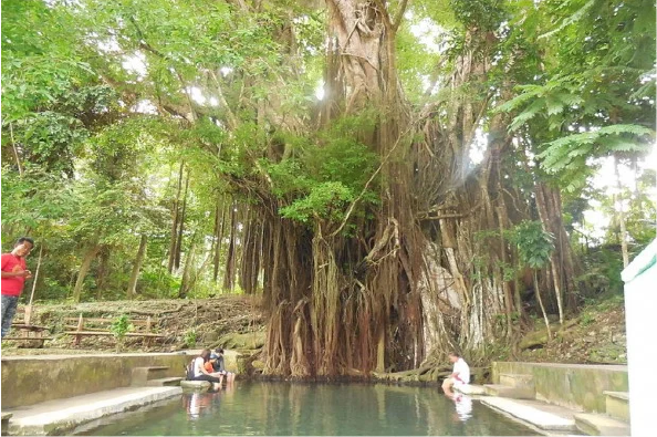 Cây balete bị mê hoặc ở Lazi, Siquijor