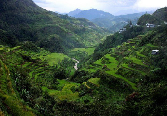 Banaue