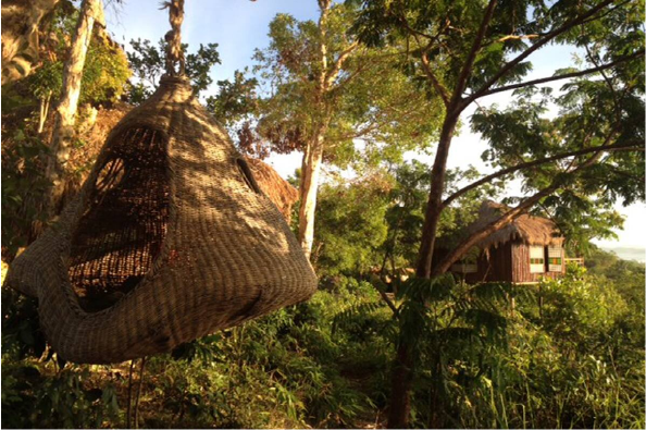 Ngôi nhà trên cây dừa nước trên đỉnh đồi này ở Busuanga