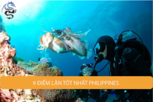 Điểm lặn tốt nhất Philippines