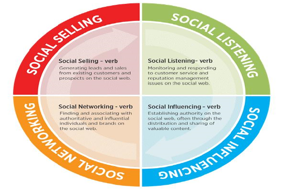 Chu kỳ thành công xã hội có 4 giai đoạn 