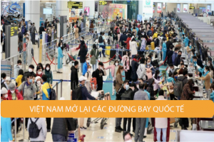 Hàng không việt nam mở đường bay quốc tế