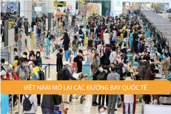 Hàng không việt nam mở đường bay quốc tế