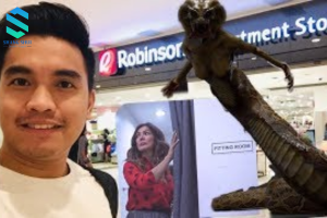 Những câu chuyện tâm linh tại Manila - Robinson snake