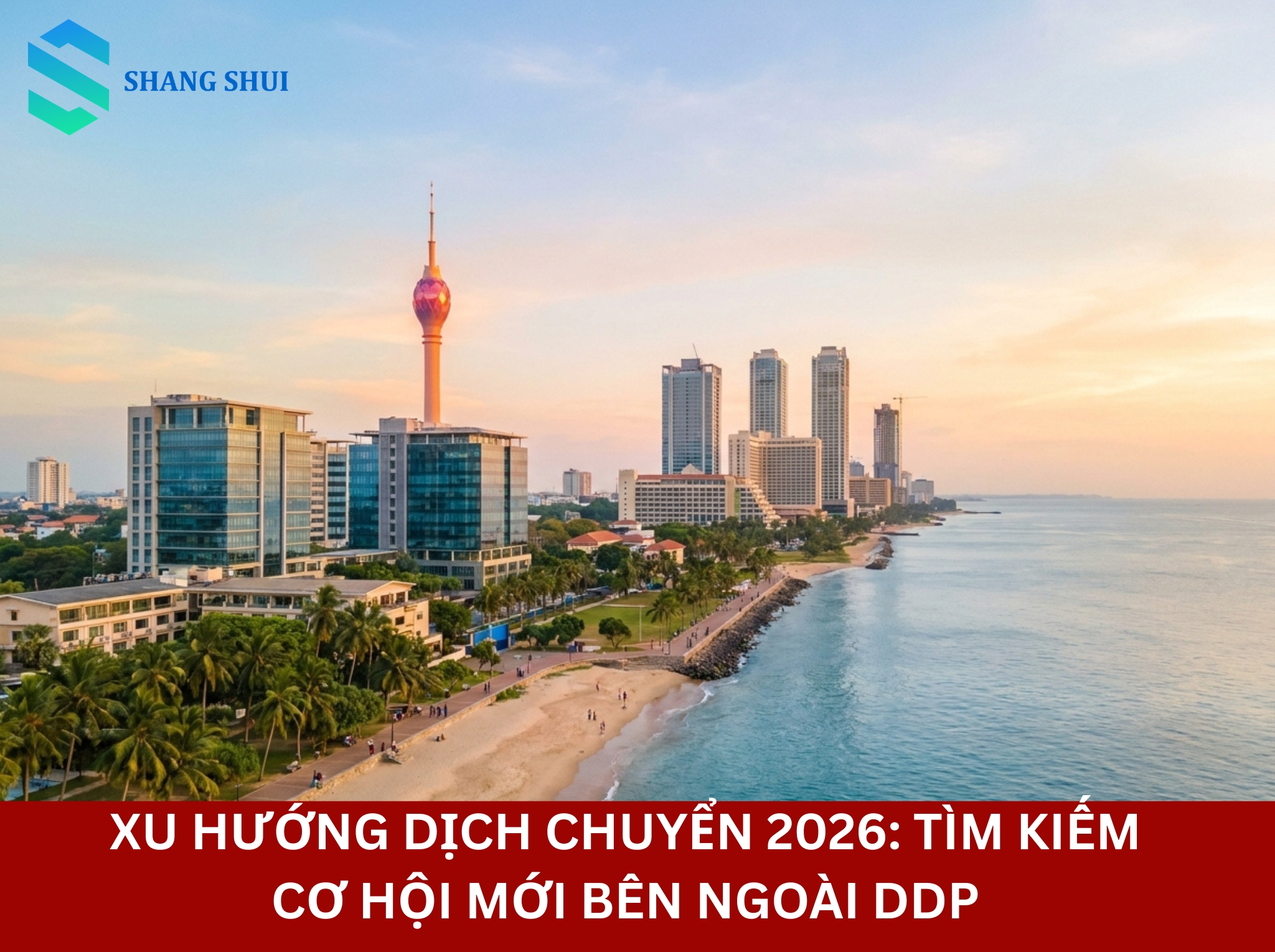 Xu Hướng Dịch Chuyển 2026 Tìm Kiếm Cơ Hội Mới Bên Ngoài DDP
