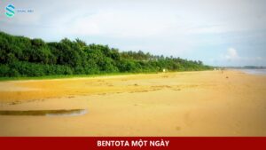 Bãi biển Bentota với bãi cát rộng và hàng cây trong ảnh năm 2014