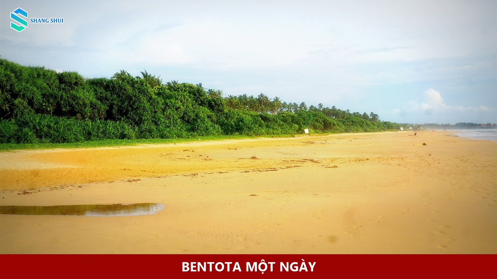 Bãi biển Bentota với cát, sóng và hàng cây