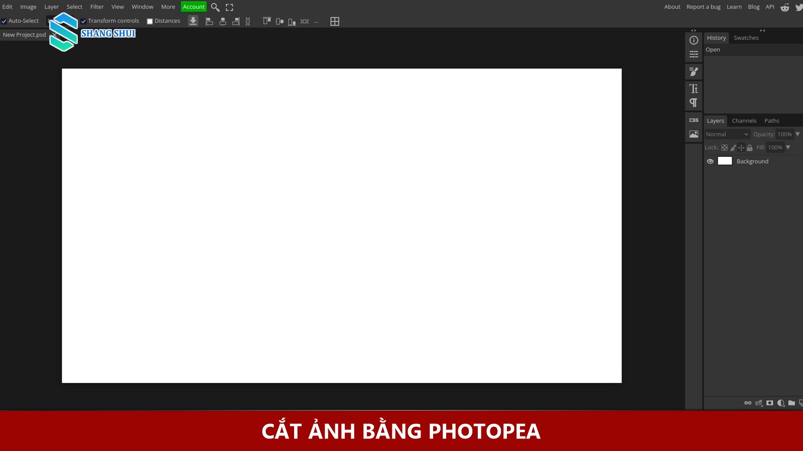 Giao diện công cụ cắt ảnh tỷ lệ 16:9 trên phần mềm Photopea.