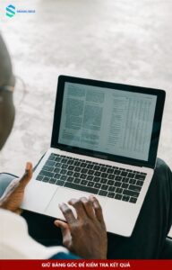 Người dùng xem bảng tính trên MacBook trước khi xử lý dữ liệu