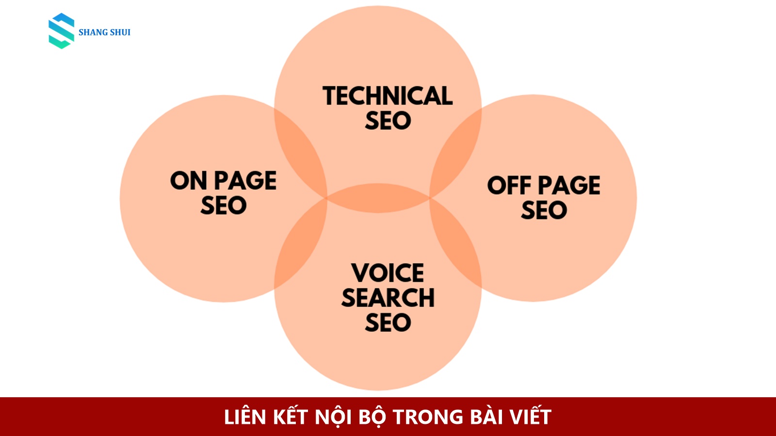 Sơ đồ các loại hình tối ưu hóa công cụ tìm kiếm và cấu trúc liên kết trang web.