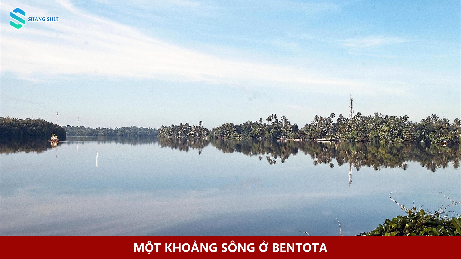 Mặt sông Bentota và cây bên bờ tại Sri Lanka