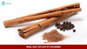 Các thanh quế Cinnamomum verum với lớp vỏ cuộn mỏng