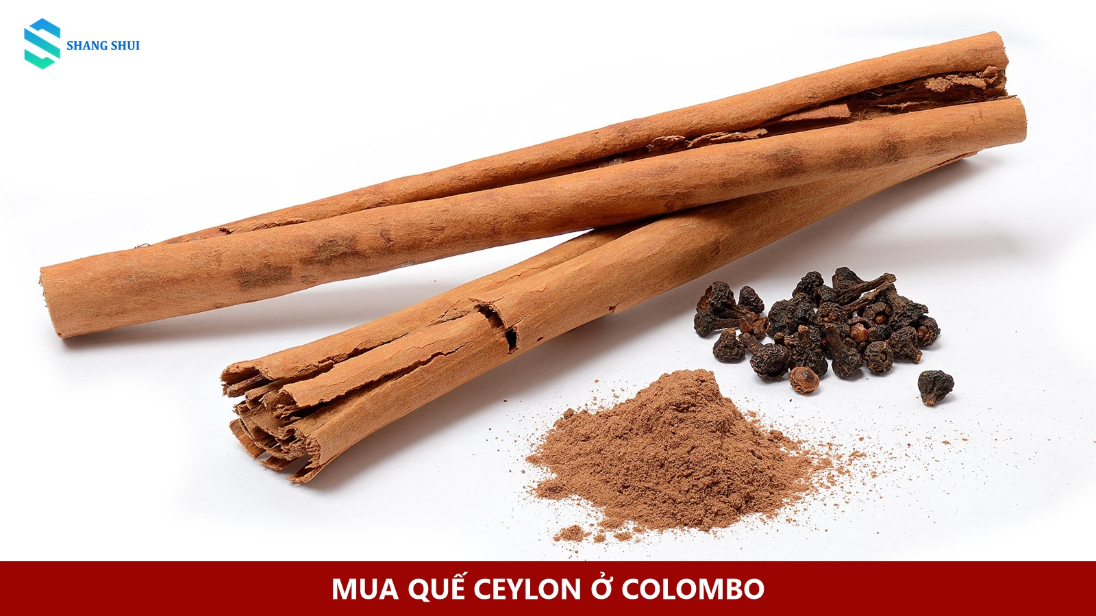 Các thanh quế Cinnamomum verum với lớp vỏ cuộn mỏng