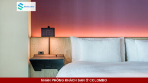 Ảnh minh họa bài viết chuẩn 16:9