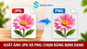 Minh họa JPG và PNG cho ảnh chụp, chữ và nền trong suốt